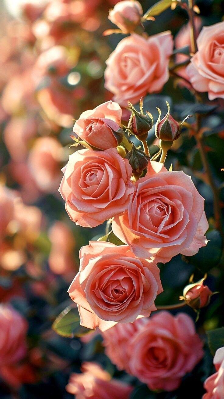 Corporate floral consultation example